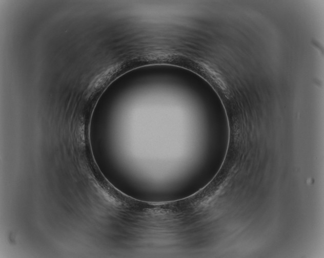 X0000091900633200709121459