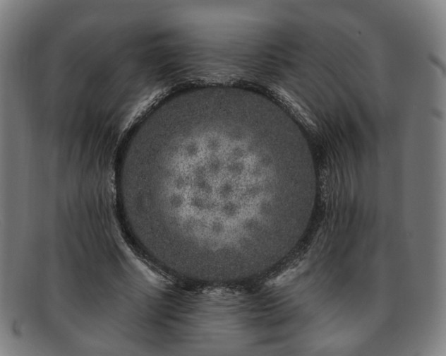 X0000091900634200709121459