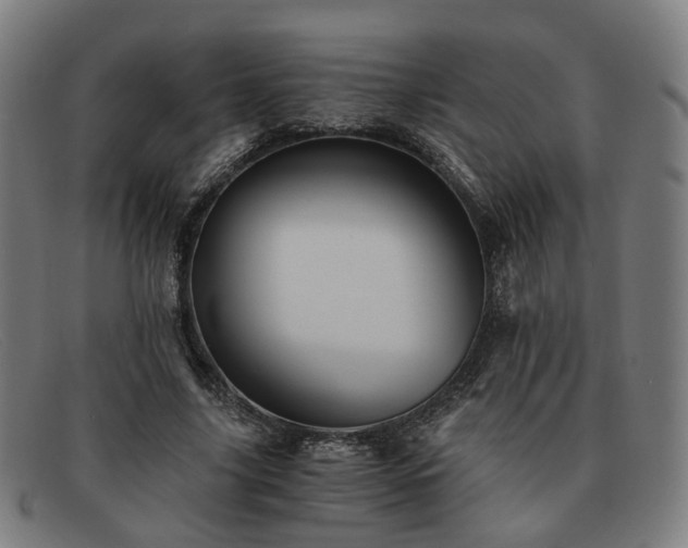 X0000091900635200709121459