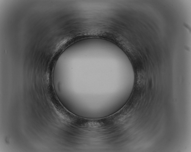 X0000091900636200709121459