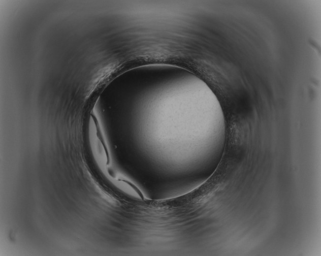 X0000091900638200709121459