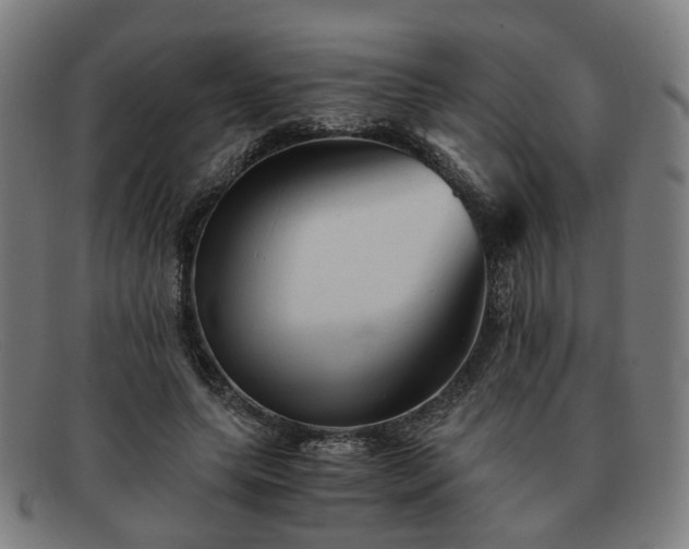 X0000091900639200709121459