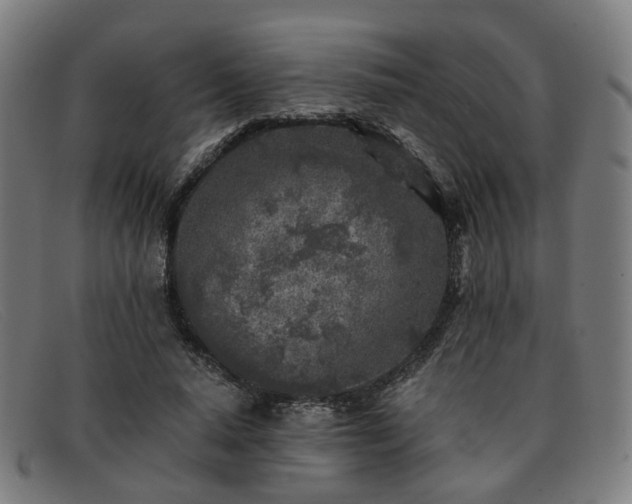 X0000091900640200709121459