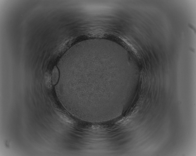 X0000091900641200709121459