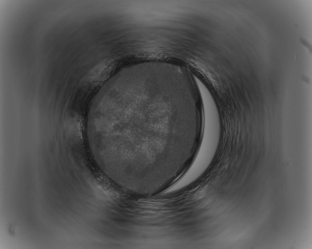 X0000091900643200709121459