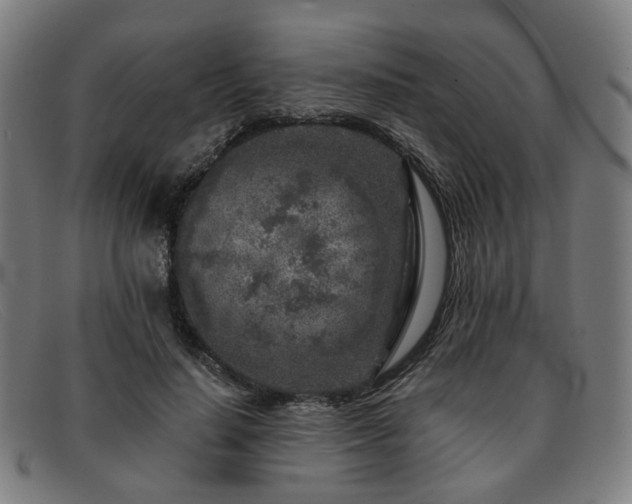 X0000091900644200709121459