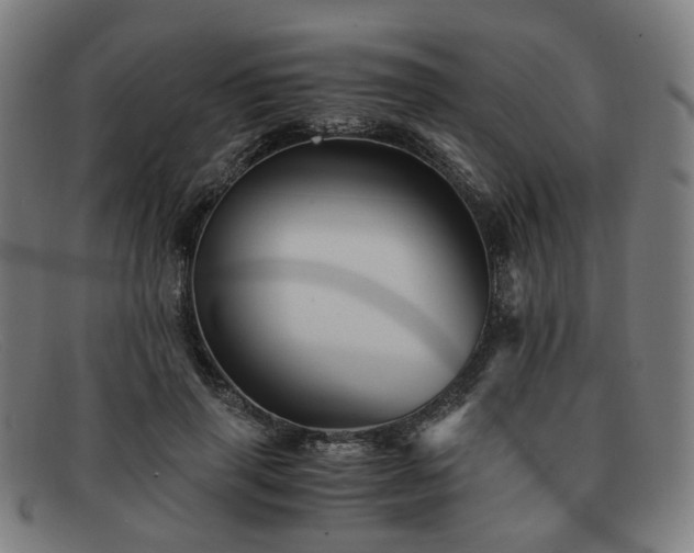 X0000091900645200709121459