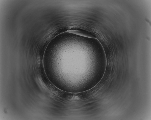 X0000091900647200709121459