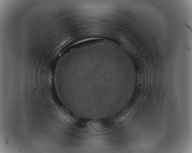 X0000091900648200709121459