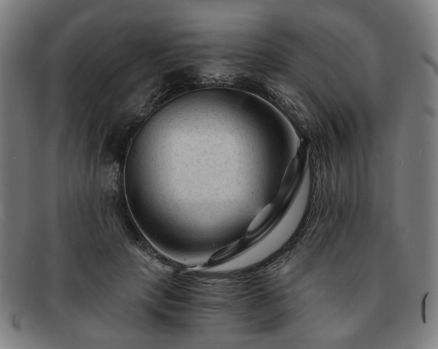 X0000091900649200709121459