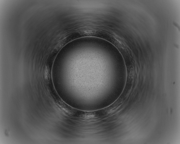 X0000091900651200709121459