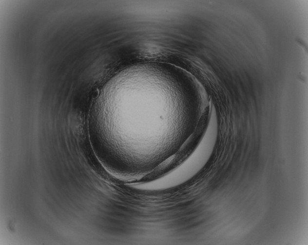 X0000091900653200709121459