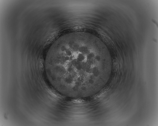 X0000091900654200709121459