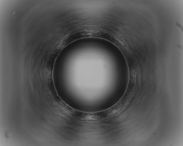 X0000091900657200709121459