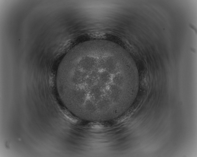 X0000091900658200709121500