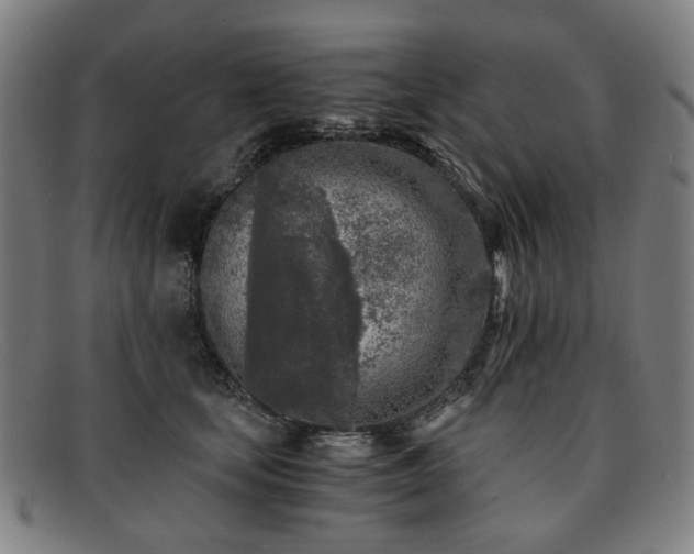 X0000091900659200709121500