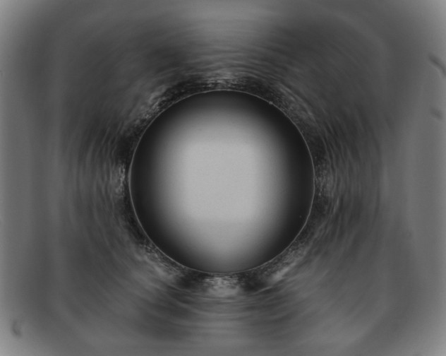 X0000091900660200709121500