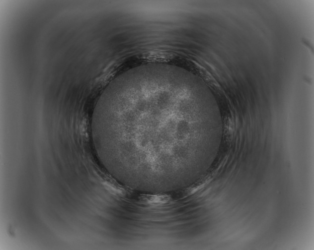 X0000091900663200709121500