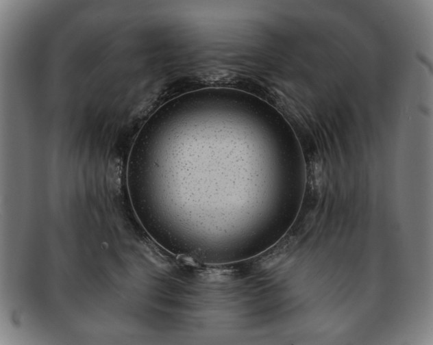 X0000091900664200709121500