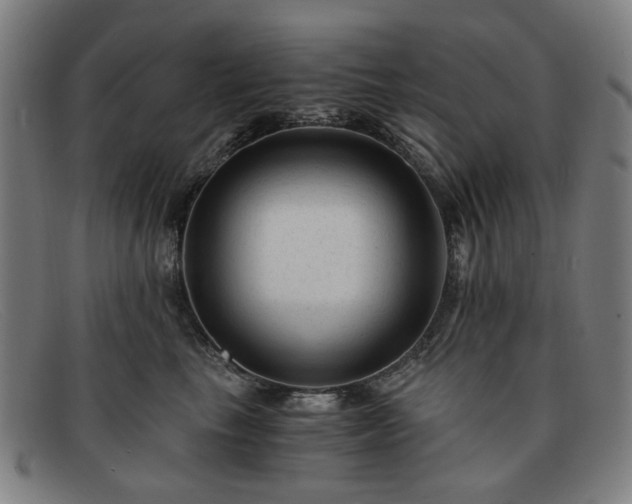 X0000091900665200709121500