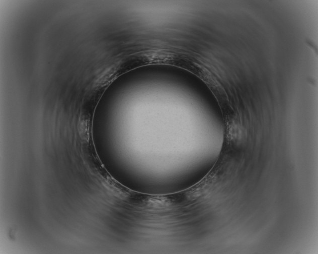 X0000091900666200709121500