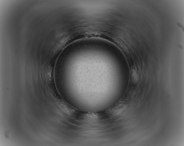 X0000091900668200709121500