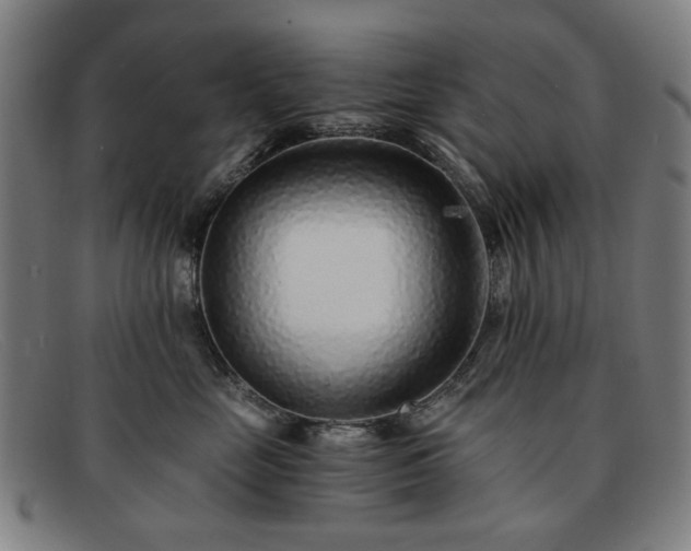 X0000091900669200709121500