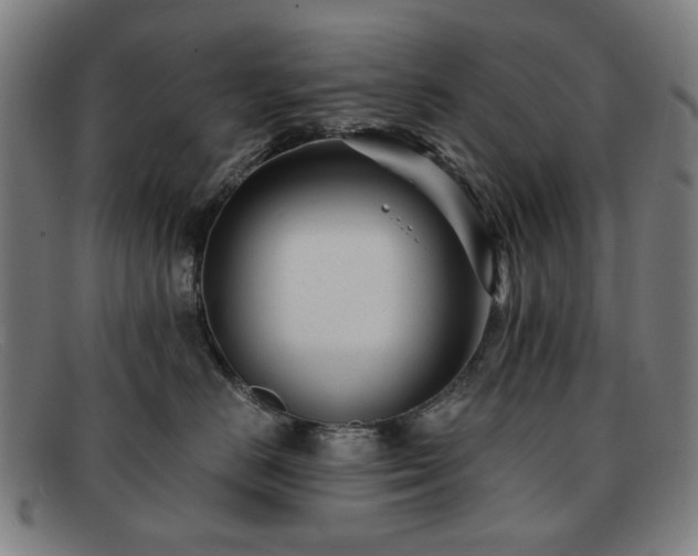 X0000091900670200709121500