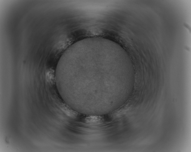 X0000091900672200709121500