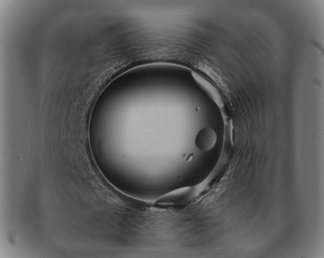 X0000091900673200709121459