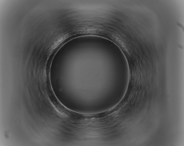 X0000091900674200709121459