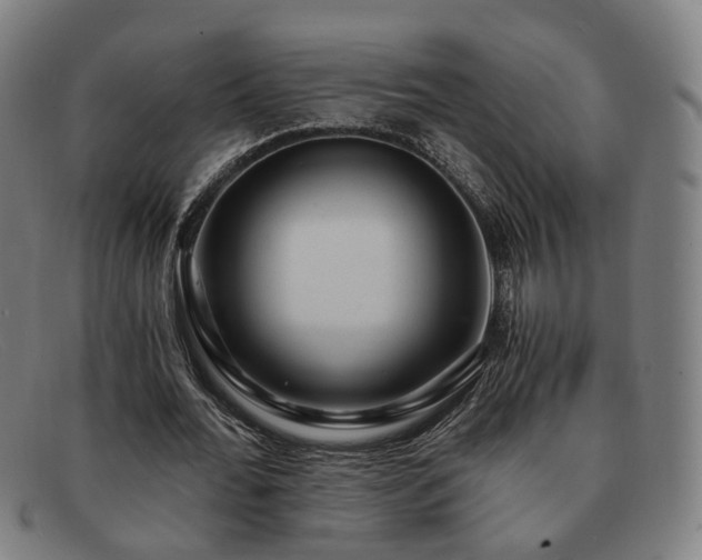 X0000091900676200709121459