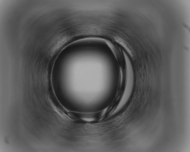 X0000091900677200709121459