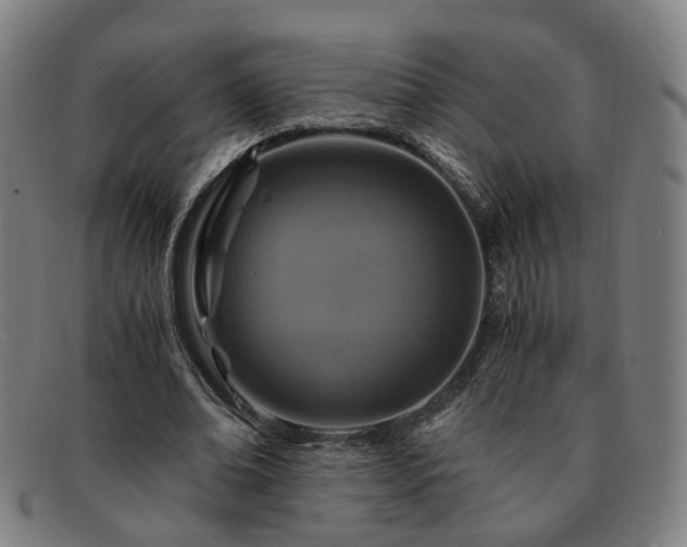 X0000091900678200709121459