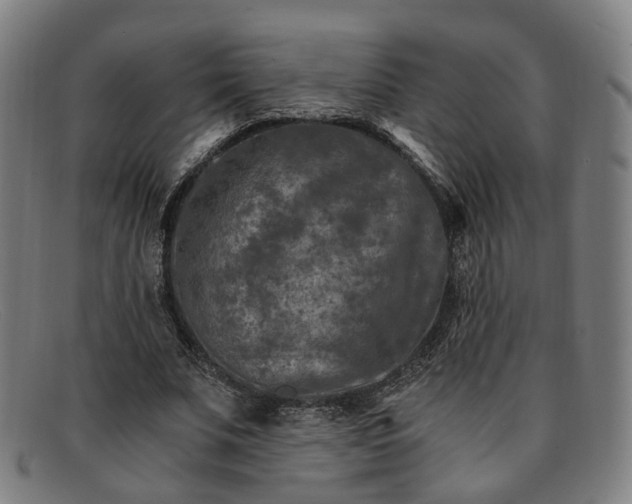 X0000091900679200709121459