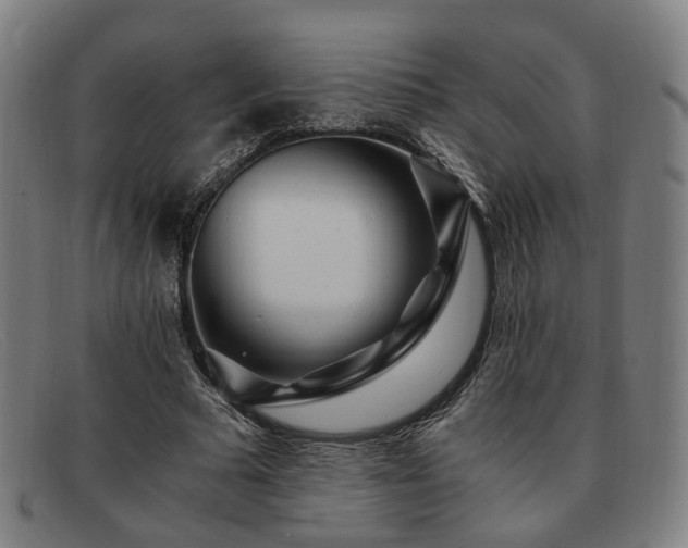 X0000091900681200709121459