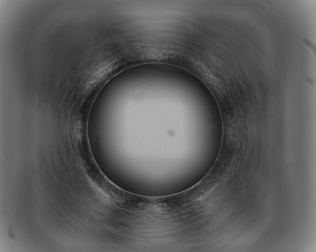 X0000091900683200709121459