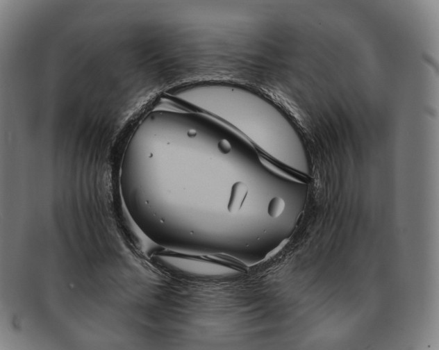 X0000091900684200709121459