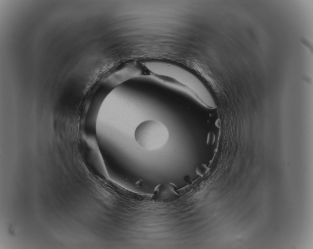 X0000091900685200709121459