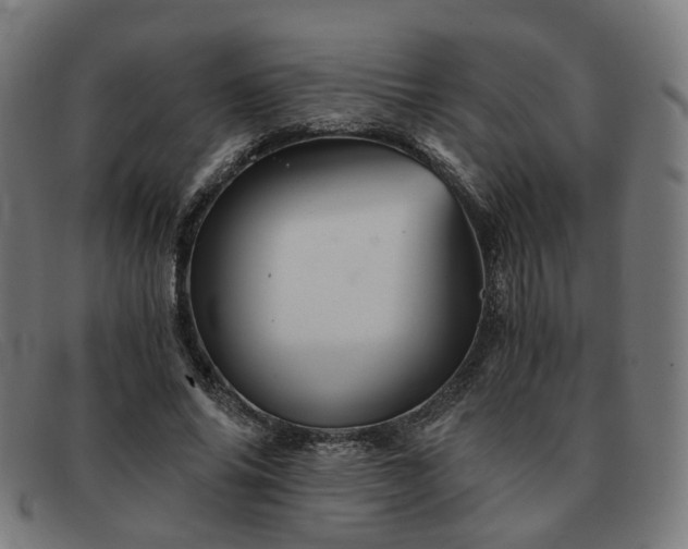 X0000091900686200709121459