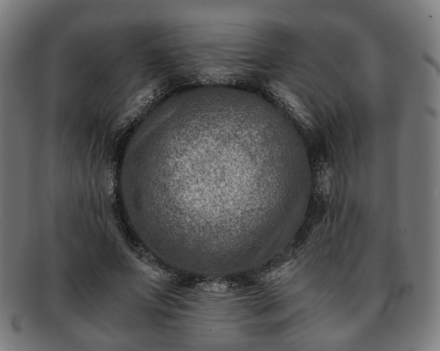 X0000091900687200709121459