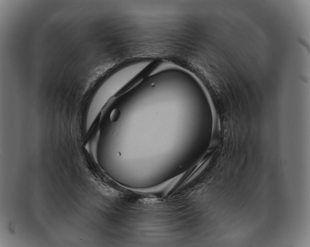 X0000091900688200709121459