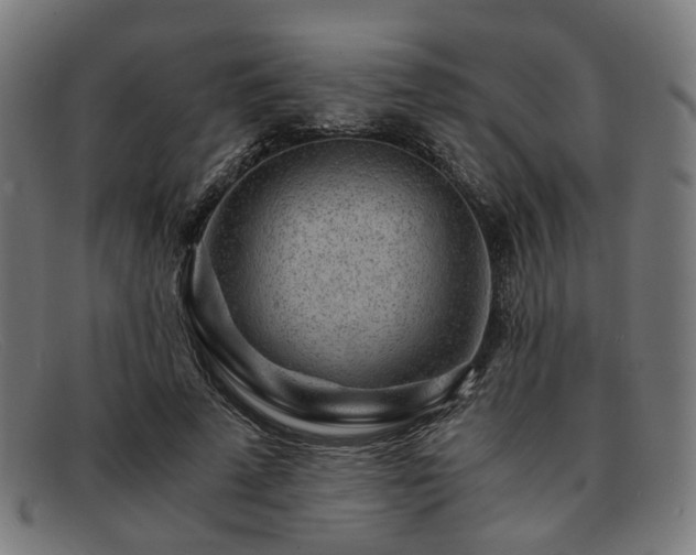 X0000091900689200709121459