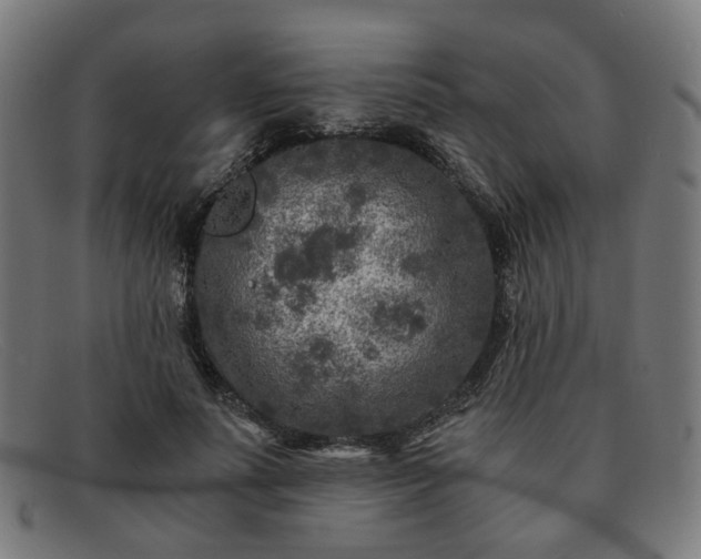 X0000091900691200709121459