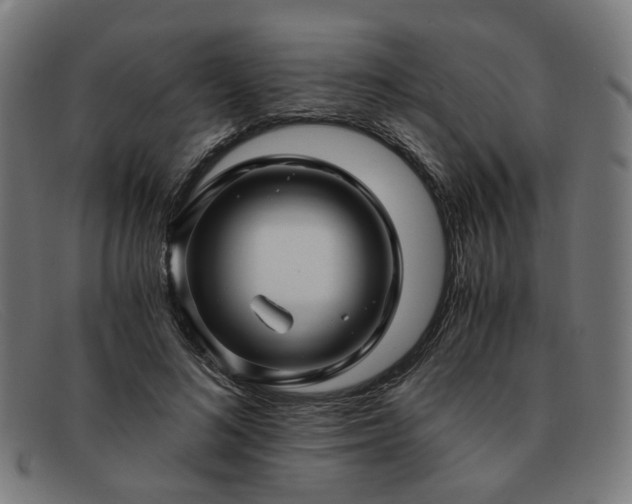 X0000091900692200709121459