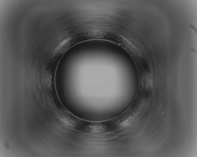 X0000091900693200709121459