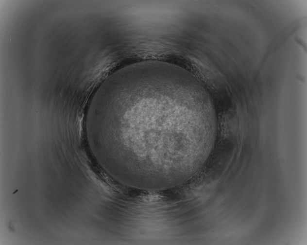 X0000091900695200709121459