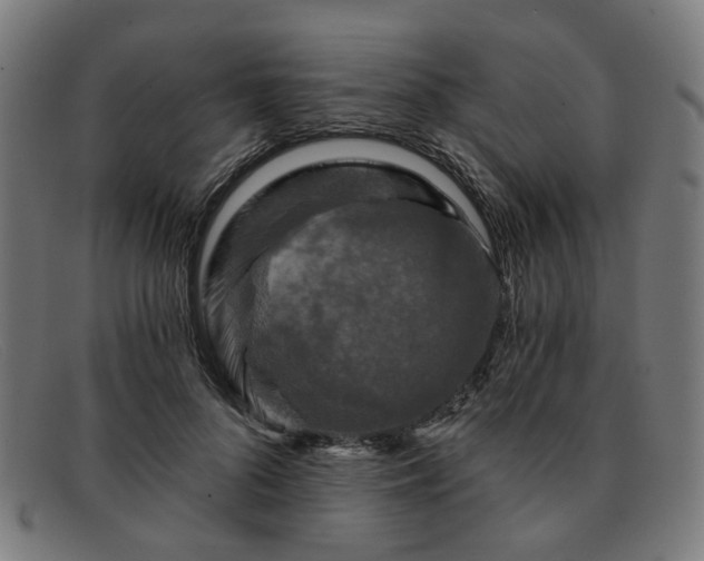 X0000091900696200709121459