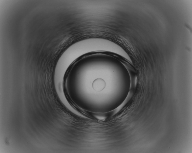 X0000091900697200709121459