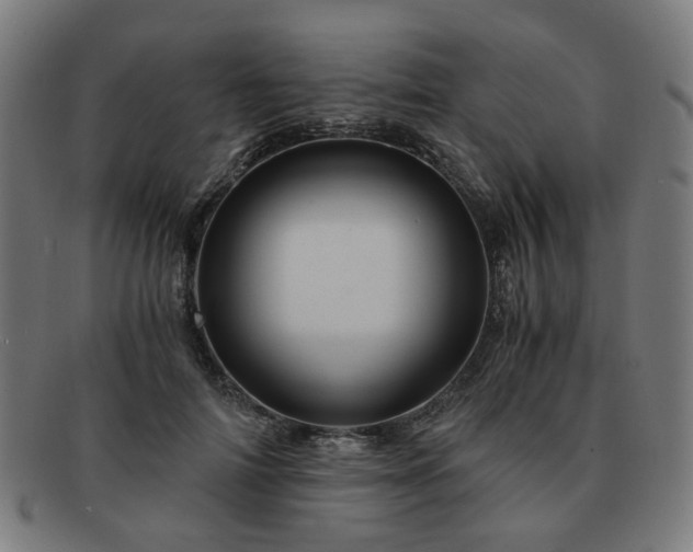 X0000091900698200709121459